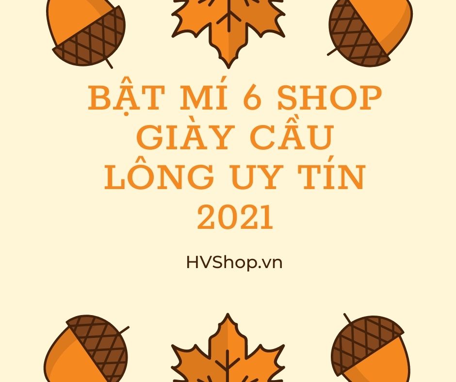 Shop giày cầu lông uy tín | Bật mí 6 shop giày cầu lông uy tín nhất 2021