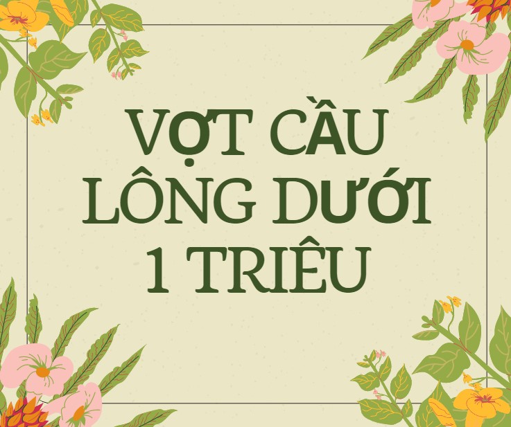 Top 5 vợt cầu lông sưới 1 triệu đáng mua