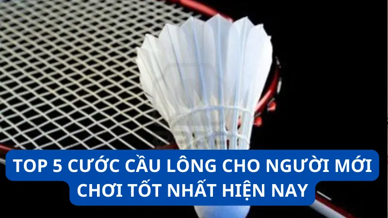 cước cầu lông cho người mới chơi