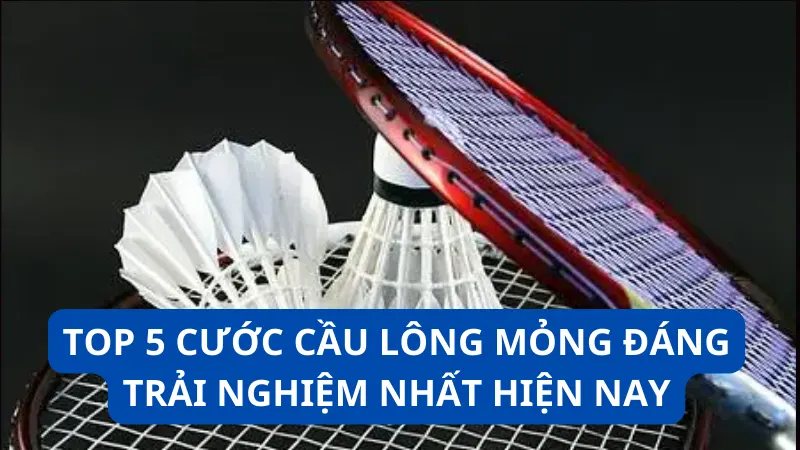 TOP 5 cước cầu lông mỏng đáng trải nghiệm nhất hiện nay