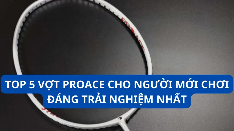 Top 5 vợt Proace cho người mới chơi đáng trải nghiệm nhất