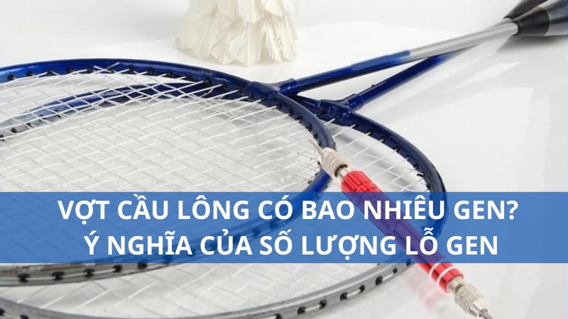 Vợt cầu lông có bao nhiêu gen? Ý nghĩa của số lượng lỗ gen