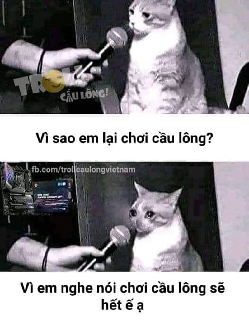 Meme cầu lông 